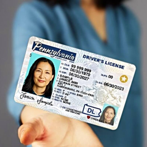 Florida analiza ley que marcaría el estatus de ciudadanía en identificaciones estatales