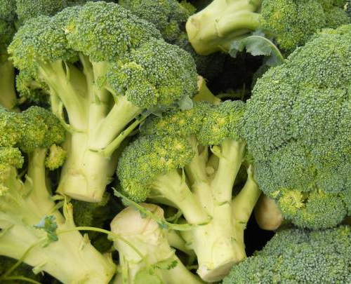 Brócoli y longevidad: los nutrientes que aporta y cómo incorporarlo a una dieta saludable